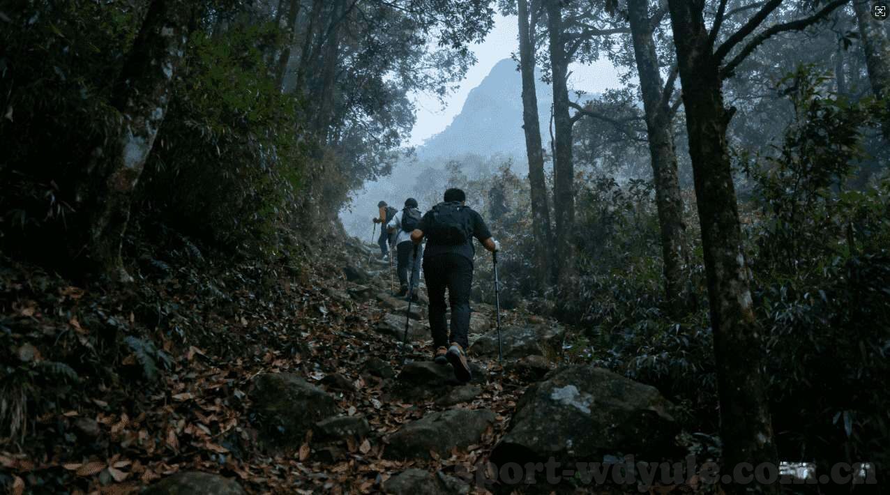 世界杯预选赛比分-世界杯预选赛，比分背后的故事